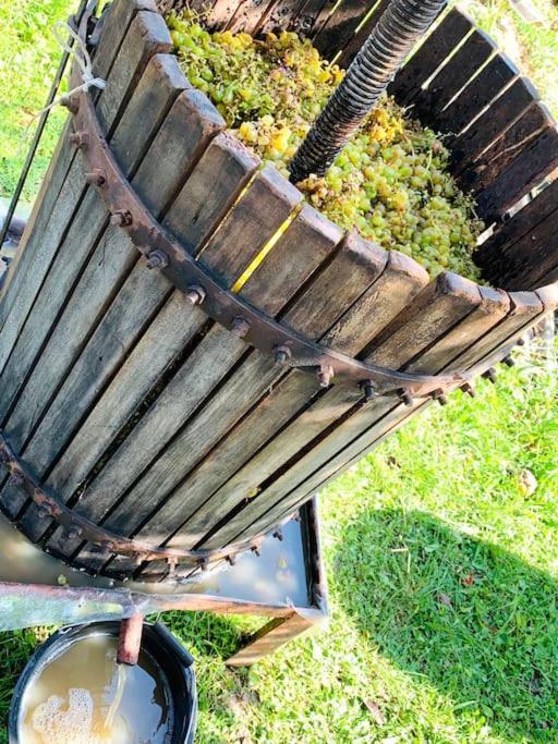 La-Marti, Idyllische Unterkunft Mit Kamin Bagdati 외부 사진